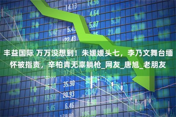 丰益国际 万万没想到！朱媛媛头七，李乃文舞台缅怀被指责，辛柏青无辜躺枪_网友_唐旭_老朋友