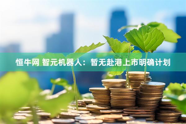 恒牛网 智元机器人：暂无赴港上市明确计划
