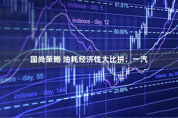 国尚策略 油耗经济性大比拼：一汽