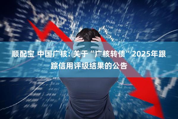 顺配宝 中国广核: 关于“广核转债”2025年跟踪信用评级结果的公告